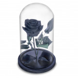 Cumpara ieftin Trandafir Criogenat negru &Oslash;6,5cm in cupola sticla 10x20cm