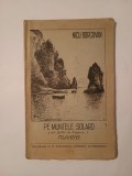 Nicu Borgovan - Pe muntele Solaro (din golful de Neapole) - nuvele