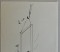 Foto  - 2