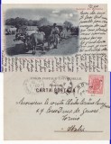 Port popular- Tipuri-Vanzator lemne -clasica, rara