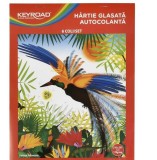Hartie glasata autocolanta,210x290 mm,6 coli set