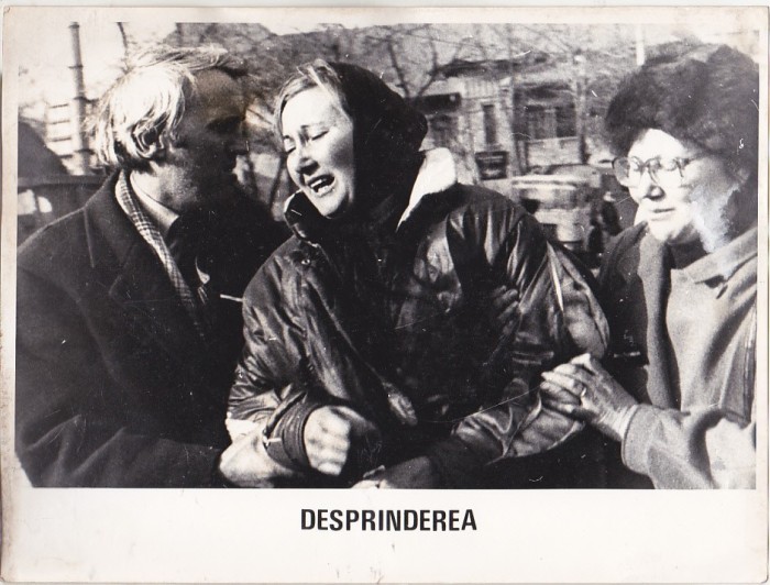 bnk foto - Desprinderea - fotografie de panou 24x18 cm