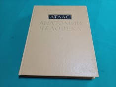 ATLAS DE ANATOMIA OMULUI *R.D. SINELNIKOV * VOL. III * 1983 *LIMBA RUSĂ * 31
