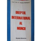 DREPTUL INTERNATIONAL AL MUNCII-ANDREI POPESCU-248753