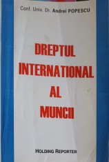 DREPTUL INTERNATIONAL AL MUNCII-ANDREI POPESCU-248753