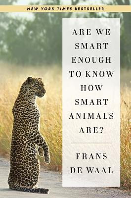 Are We Smart Enough to Know How Smart Animals Are? foto