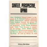 Colectiv - Sinteze, perspective, opinii - 122908