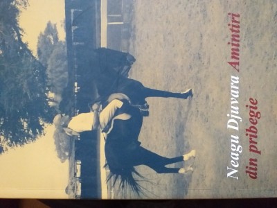 Amintiri din pribegie- Neagu Djuvara foto