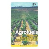 Agrofuels Big Profits Ruined Lives And Ecological Destruction