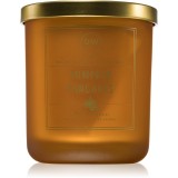 DW Home Signature Pumpkin Pancakes lum&acirc;nare parfumată 258 g
