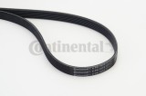 CONTINENTAL CTAM 6PK1873 Curea transmisie cu caneluri