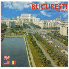 Florin Andreescu - Bucuresti - 124170