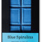 Ciocolata cu spirulina albastra bio, 60g, Benjamissimo