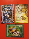 GUINEA ECUATORIALĂ, FAUNA - COLIȚE ȘTAMPILATE