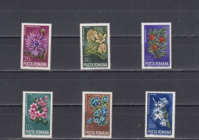 M1 TX4 6 - 1974 - Ocrotirea naturii - Flori foto
