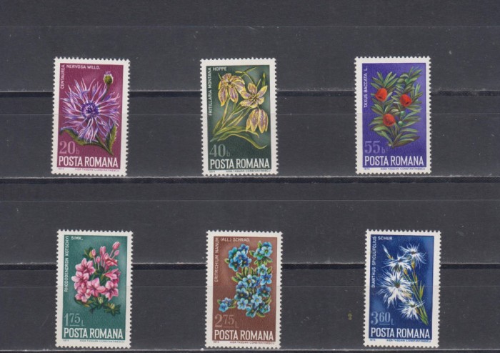 M1 TX4 6 - 1974 - Ocrotirea naturii - Flori