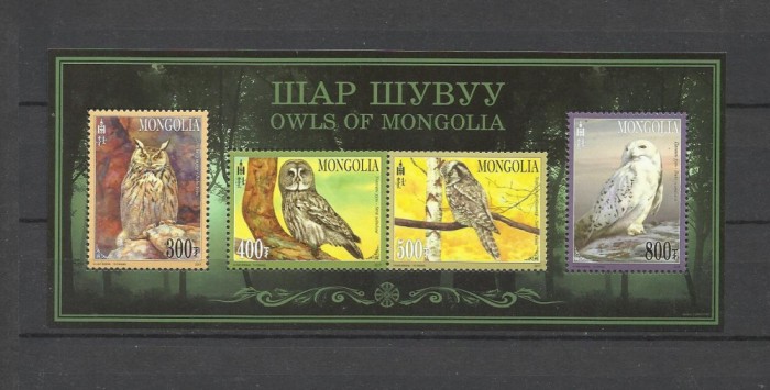 MONGOLIA 2017 FAUNA PASARI BUFNITE