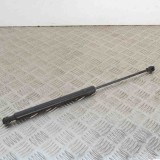 Amortizor Haion Stanga Dacia Sandero II 2014-Prezent OEM 904529943R Auger/Trucktec/Tridon Garantie 12 Luni