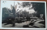 Carte postala, parcul din Resita, perioada interbelica