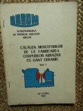 CALAUZA MUNCITORILOR DE LA FABRICAREA CORPURILOR ABRAZIVE CU LIANT CERAMIC VOL I