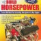 David Vizard&#039;s How to Build Horsepower