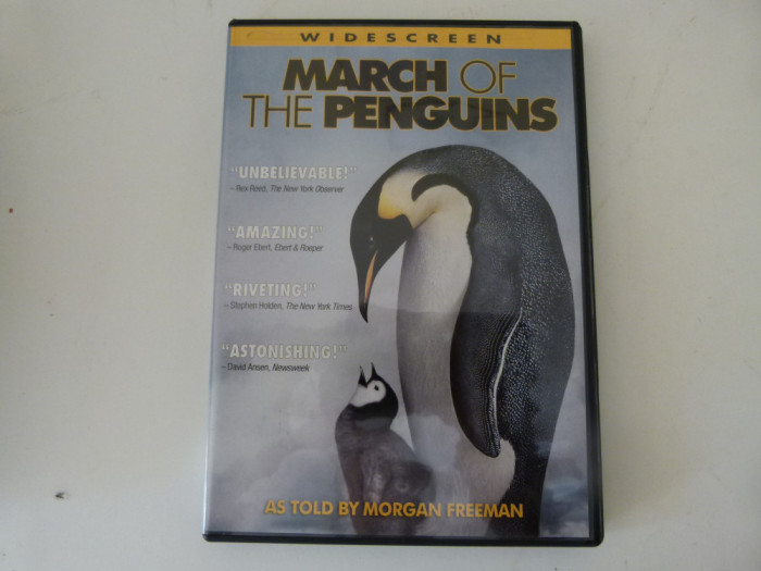 March of the penguins - 443