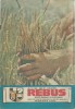 Revista Flacara Rebus nr. 13 / 1 iulie 1989