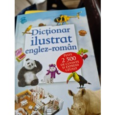Corina Gaduta - Dictionar Ilustrat Englez-Roman. Peste 2500 de cuvinte si expresii uzuale