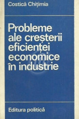 Probleme ale cresterii eficientei economice in industrie foto