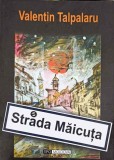 Strada Maicuta - Valentin Talpalaru, Roman, Editura Tipo Moldova, 2008, 164 pagini, Beletristica