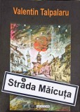 STRADA MAICUTA-VALENTIN TALPALARU