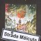 STRADA MAICUTA-VALENTIN TALPALARU-242171