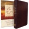 Study Bible-KJV