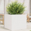 VidaXL Jardinieră de grădină, alb, 80x80x68,5 cm, lemn masiv de pin 3282480