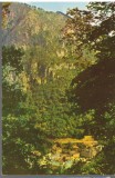 CPI B14997 - CARTE POSTALA - BAILE HERCULANE, Necirculata, Fotografie