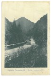3463 - PETROSANI, Pasul Surduc, Valea Jiului, Romania - old postcard - used - 1908