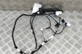 Cablaj ușă dreapta spate TOYOTA C-HR _X2_, _H2_ 2024 OEM: 82153-F4190,82153-F4190-D 28267312