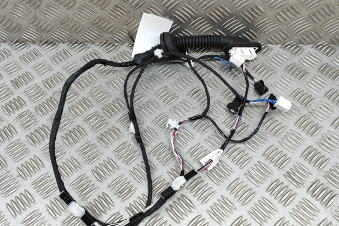 Cablaj ușă dreapta spate TOYOTA C-HR _X2_, _H2_ 2024 OEM: 82153-F4190,82153-F4190-D 28267312