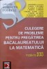 CULEGERE DE PROBLEME PENTRU PREGATIREA BACALAUREATULUI LA MATEMATICA. MODELE TIP 2003-DAN BRANZEI SI COLAB.-261466