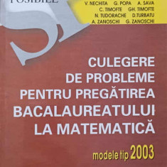 CULEGERE DE PROBLEME PENTRU PREGATIREA BACALAUREATULUI LA MATEMATICA MODELE TIP 2003-DAN BRANZEI SI COLAB.