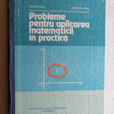 Probleme pentru aplicarea matematicii in practica, Cerchez Mihu, Theodor Danet