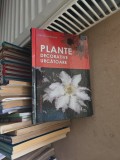 Plante decorative urcătoare - Adrian Mărgarit