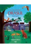 Hai sa descoperim orasul. Carte de explorat - Sebastien Braun