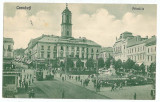 2338 - CERNAUTI, Bucovina, Market - old postcard - used - 1930, Circulata, Printata