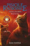 Pisicile Razboinice Vol.35: Viziunea din umbre. Raul de Foc - Grupul All