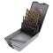 Set Burghie Metal HSS 19 Bucăți