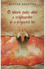 O istorie putin altfel a vrajitoarelor si a prigonirii lor - Dieter Breuers