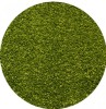 Covor Modern, Kolibri 11000-130, Verde, Rotund, 80x80 cm, 2200 gr/mp - 100x100 cm