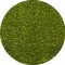 Covor Modern, Kolibri 11000-130, Verde, Rotund, 80x80 cm, 2200 gr/mp - 100x100 cm