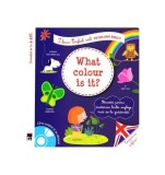 I learn English with Peter and Emily! What color is it! - Larousse